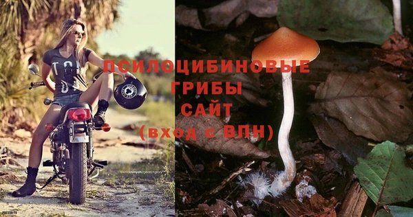 СК Липки