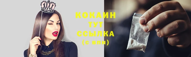 СК Липки