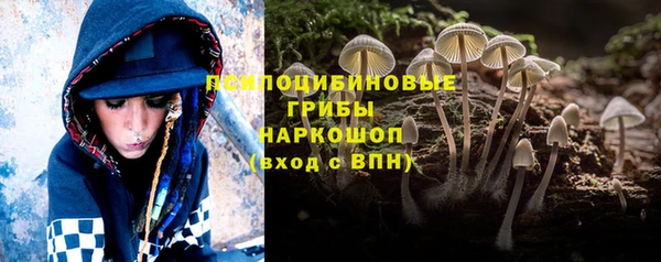 ECSTASY Лиски