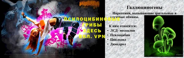 СК Липки